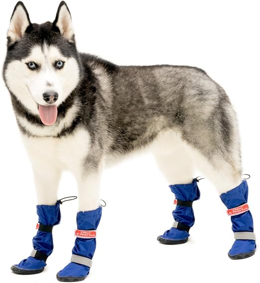 river shoes for dogs