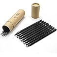 EVNEED Woodless Pencil Set,12 pcs Non-wood Graphite and Charcoal Sketching for Drawing,Writing,Shading,Color Black-Set of 12