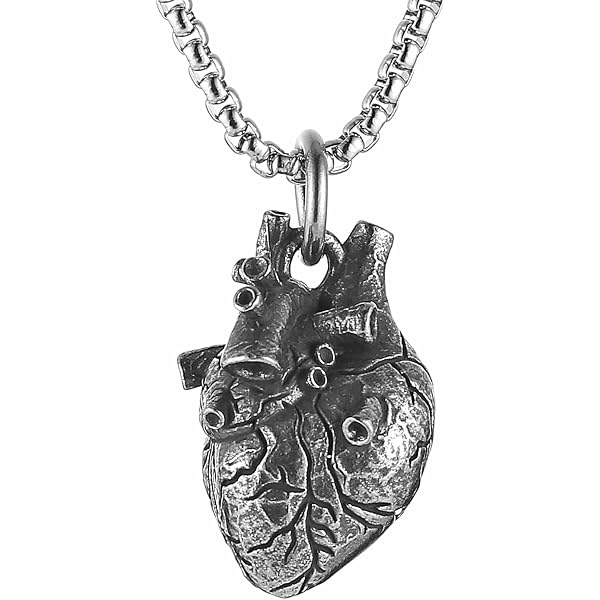 Stainless Steel Anatomical Heart Pendant Necklace - Openable Charm With 22 Or 24 Inch Chain For Men & Women