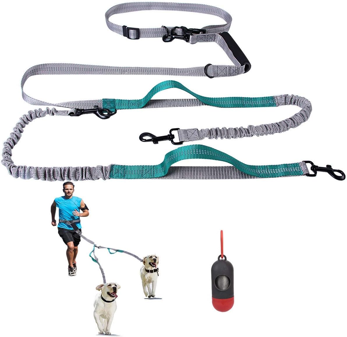 dog walking training leash