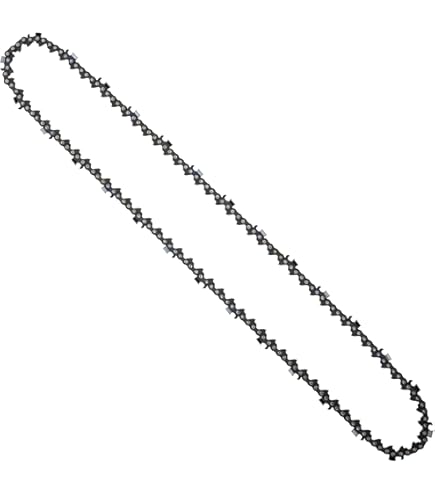 Amazon.com : 8TEN Full Chisel Skip Tooth Chainsaw Chain 24 Inch