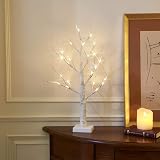Eambrite Set of 2 Small Birch Twig Tree Lights 60cm Battery Operated view 4