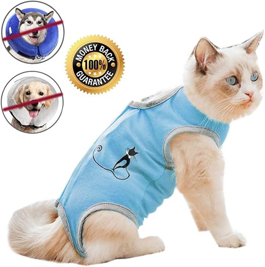 Coppthinktu Cat Professional Recovery Suit for Abdominal