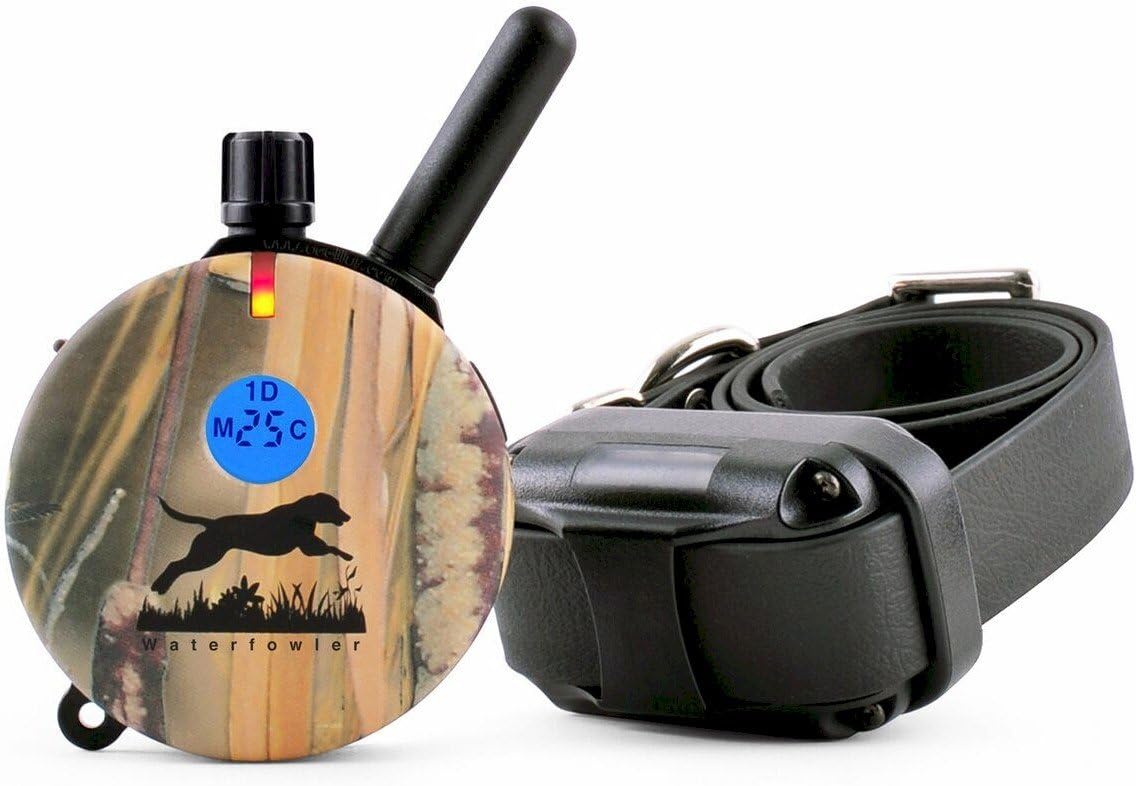 best e collar for duck hunting 2018