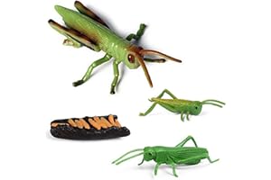 Momoplay Grasshopper Insects Animals Figurine Toys,The locusts Life Cycle Set Great for Learning, Cake Toppers, Goodie Bag Fillers