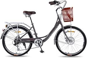 24 inch comfort bike