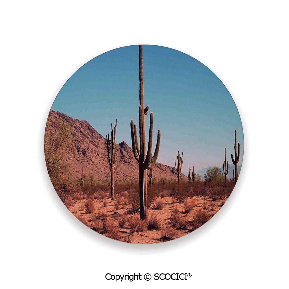 Ceramic Coaster With Wood Bottom Protection For Mugs Wine Glasses Protects Furniture Round Saguaro Cactus Decor Grown Prominent Cacti With The Spines 3 9 Diameter Amazon In Home Kitchen