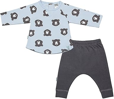 evenflo pivot xpand modular stroller second seat