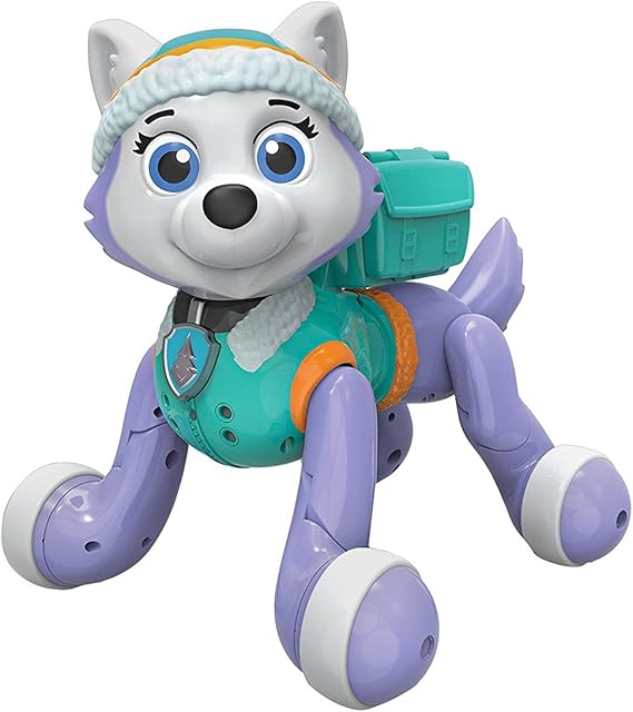 Paw patrol promo everest