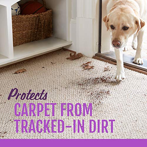 5 STAINMASTER+Carpet+Pet+Stain+Remover