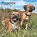 Puggles 2019 12 x 12 Inch Monthly Square Wall Calendar, Animals Mixed Dog Breeds (English, French and Spanish Edition) by 