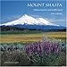 Mount Shasta 2009 Wall Calendar by 
