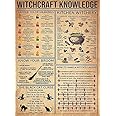 AUCAPS Novelty Funny Bathroom Witchcraft Knowledge Witch For Vintage Poster Iron Painting Plaque Wall Decor Bar Cat Club Kitchen Toilet Paper Retro Parlor Cafe Store 12x8 Inch Metal Tin Signs, multi