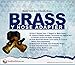 Red Earth Naturals Brass 2 Way Valve - Easy Turn Brass Hose Splitter Made from Durable Brass for Smart Homeowners - 2 Way Hose Splitter Full Flow for Dual Hose Garden