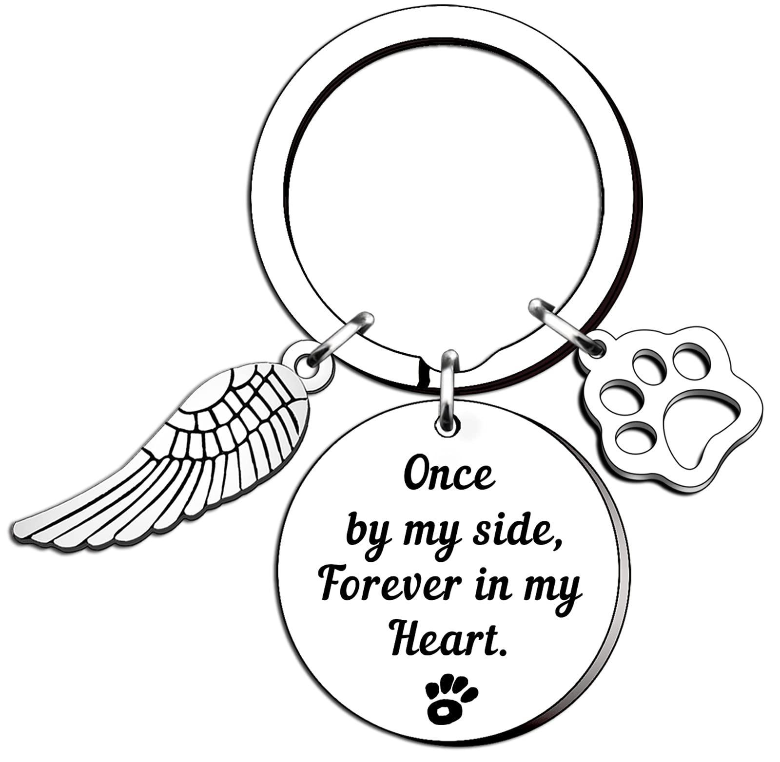 TTOVEN Memorial Gift For Pet Loss of Pet Memorial Keyring Sympathy Keyring,Memory of Family Dog Cat Pet Keychain