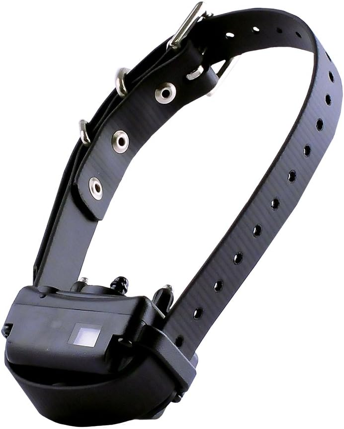 treats for dogs with allergies