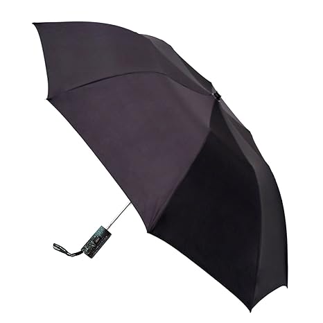 2 Fold Auto Umbrella (Black)
