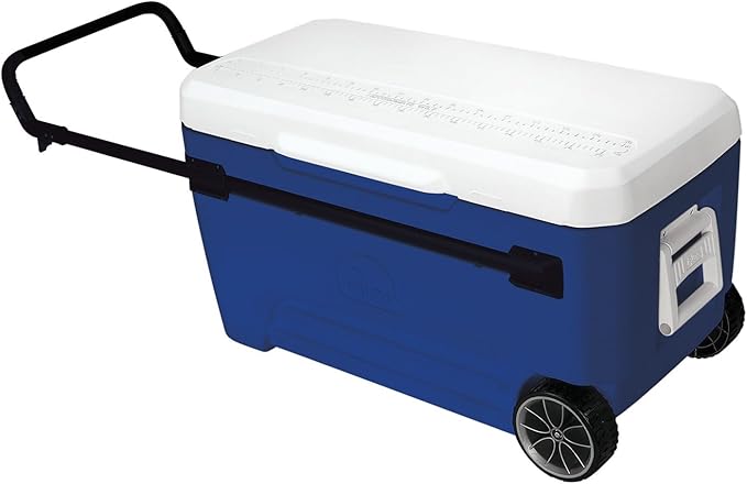 blue igloo cooler with wheels