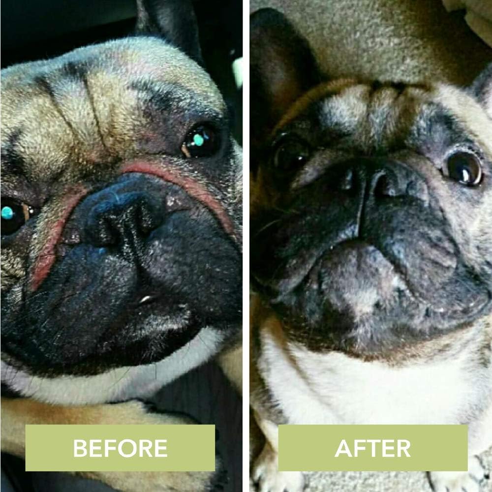 natural dog wrinkle balm