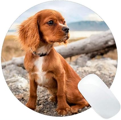 Amazon 丸いマウスパッド 愛らしい動物犬のクローズアップかわいい犬家庭用ゲームマウスパッド Yanteng マウスパッド 通販