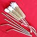 TSNZ Bottle Brush & Straw Kit, Set of 3 Natural Boar Bristle Brushes, Soft Cotton Tipped, Small, Medium & Large. Includes 4 Stainless Steel Drinking Straws with a Nylon Straw Brush