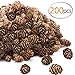 200pcs Natural Mini Pine Cones in Bulk, Pine Cones for Christmas Decor, Tiny Pinecone Decorations for Crafts Autumn Winter Wedding Decor Gift Tag