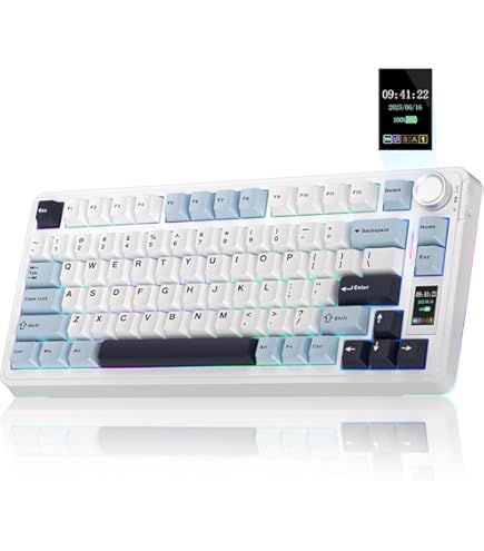 Amazon.com: AULA Wireless Keyboard and Mouse Combo, F75 75