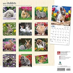 Rabbits 2017 Square (Multilingual Edition)