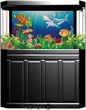 Susswasser Aquarium Fische Rassen Icon Set Flache Stil Isoliert Auf Weissem Hintergrund Cichliden Erstellen Sie Eigene Infografik Uber Haustiere Vektor Illustration Lizenzfrei Nutzbare Vektorgrafiken Clip Arts Illustrationen Image 84921727