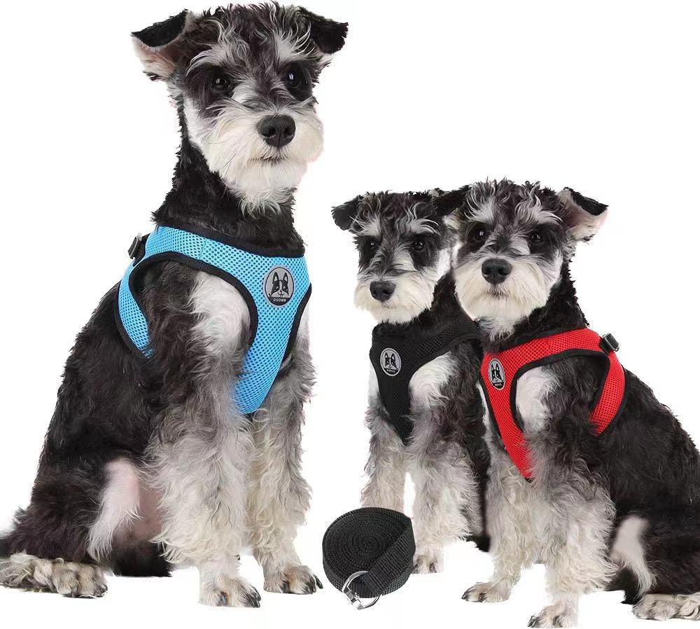 Lairle Puppy Harness,Cat Harness,Dog Harness Small Dog,3 Pack Soft Mesh Reflective Breathable Vest Harness with Lead Set for Small Dogs and Cats