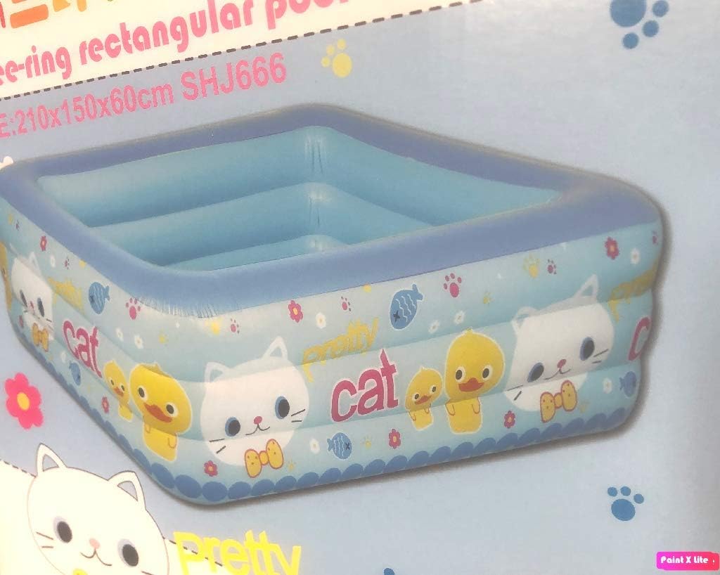 two ring rectangular pool