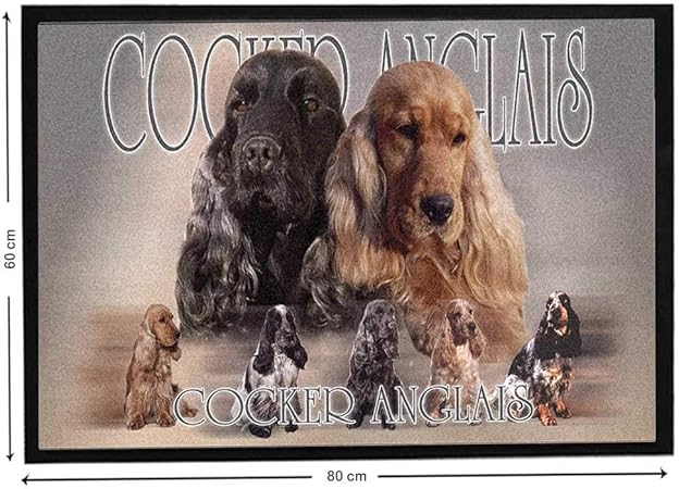 Pets Easy Cocker Anglais Sur Tapis Entrée De Chien De Chasse