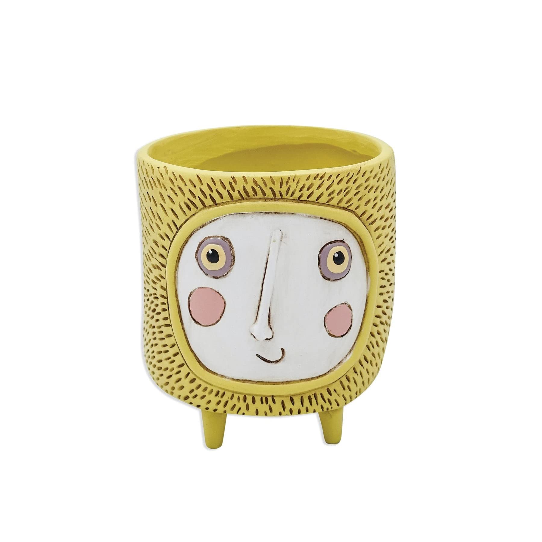 Allen Designs Baby Sun Planter