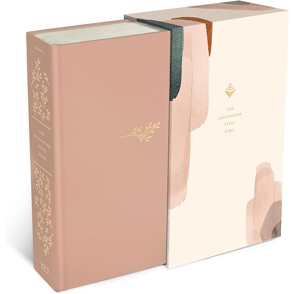 NLT DaySpring Hope & Encouragement Bible (Hardcover Deluxe