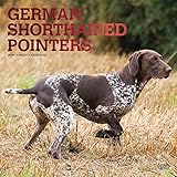 German Shorthaired Pointers 2019 12 x 12 Inch Monthly Square Wall Calendar with Foil Stamped Cover, by
