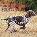 German Shorthaired Pointers 2019 12 x 12 Inch Monthly Square Wall Calendar with Foil Stamped Cover, by