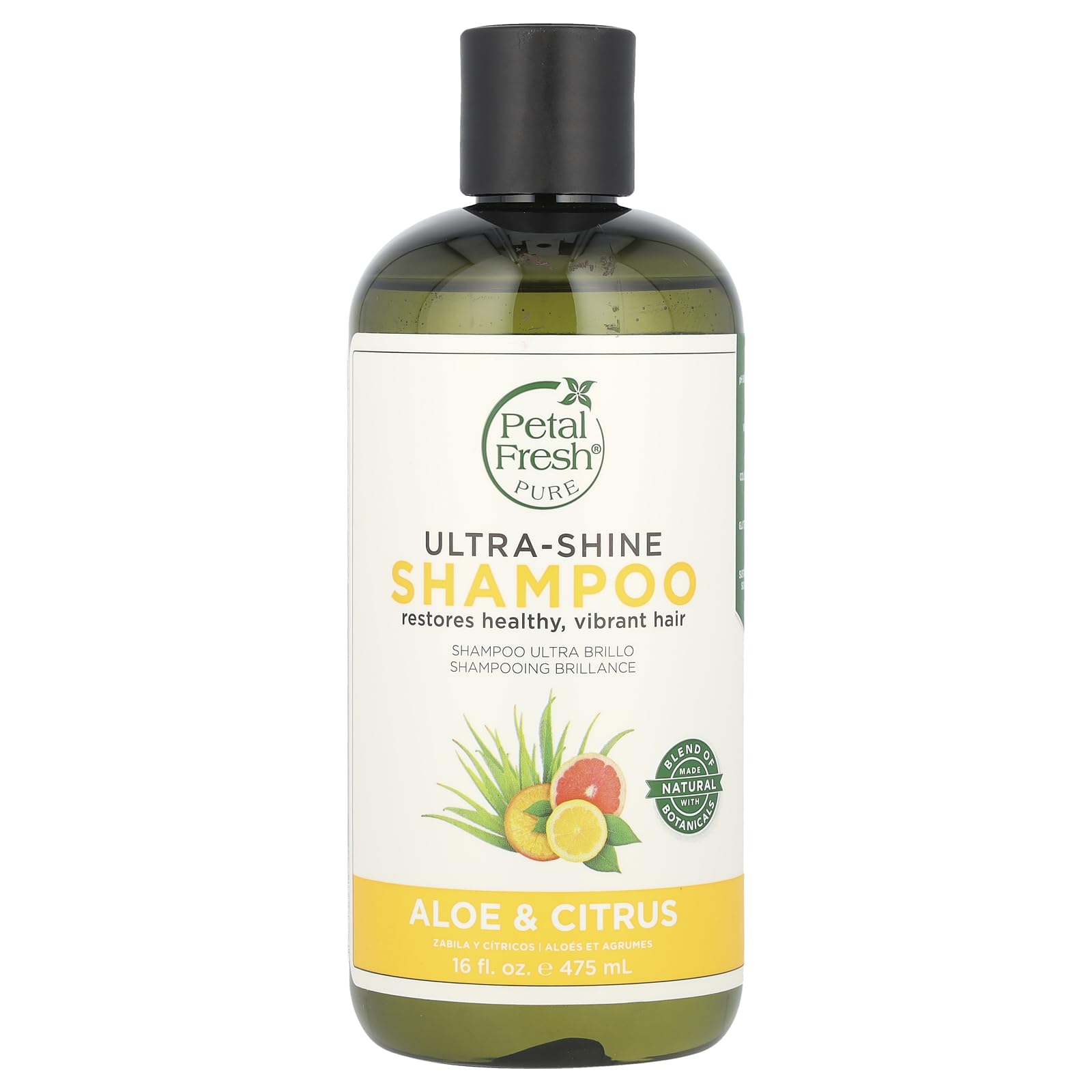 BCL Moisturizing Shampoo, 475 ml (16 fl oz), Unisex, Dry Hair, Coconut Fresh Scent, Purifying, Calming, Aqua, Sodium lauroyl Sarcosinate, Cocamidopropyl Betaine