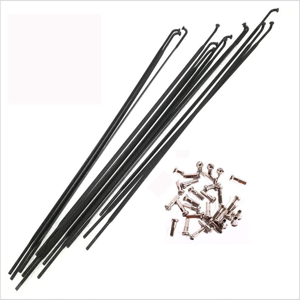 ABSOPRO Fahrradspeichen 12er Set 287mm - 14G 304 Edelstahl Speichen Mit Nippeln