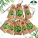 Lovcoyo Bamboo Charcoal Air Purifying Bags (8 Pack), Bamboo Odor Eliminator Bags (4×200g, 4×75g), Natural Air Fresheners & Odor Eliminators for Home, Closet, Pets, Car, Shoes
