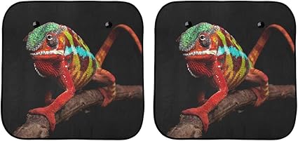 Cortina de Ventana Grande Primer Plano de la Piel descolorida del