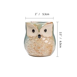 ComSaf Vaso per Pianta Grassa Vaso di Piante 6.5CM Gufo in Ceramica Smalto Collezione con Vassoio di bambù Set di 6, Fioriere di Cactus Contenitori Vasi di Fiori Decorativo Desktop Davanzale