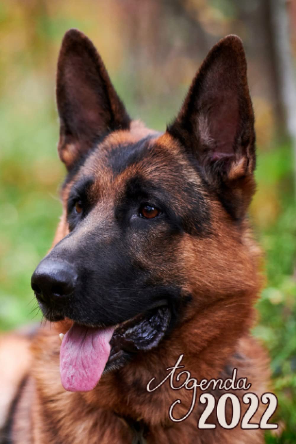 Calendrier Berger Allemand 2023 Amazon.fr - Agenda 2022 Chien Berger Allemand: Semainier 2022 - Planning  Journalier, Hebdomadaire Et Mensuel - Semaine Sur 2 Pages - Format 15,24 X  22,84 Cm (Proche A5) - Couverture Souple Chien Berger Allemand - Lamby,  Carole - Livres