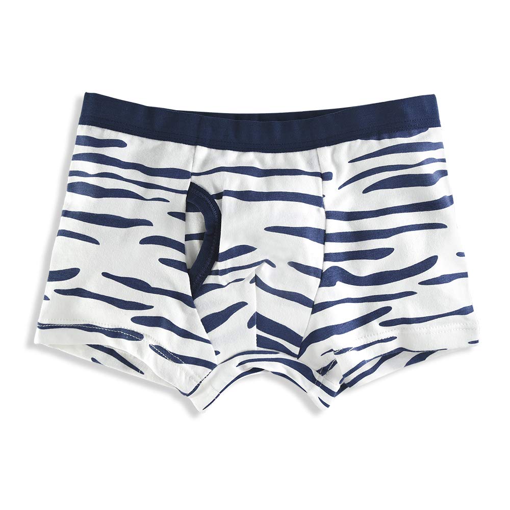 slaixiu Soft Cotton Kids Underwear Cartoon Boys Boxer Briefs 4-Pack (UW75-No.9-110)