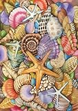 Toland Home Garden  Shells of The Sea 12.5 x 18-Inch Decorative USA-Produced Garden Flag