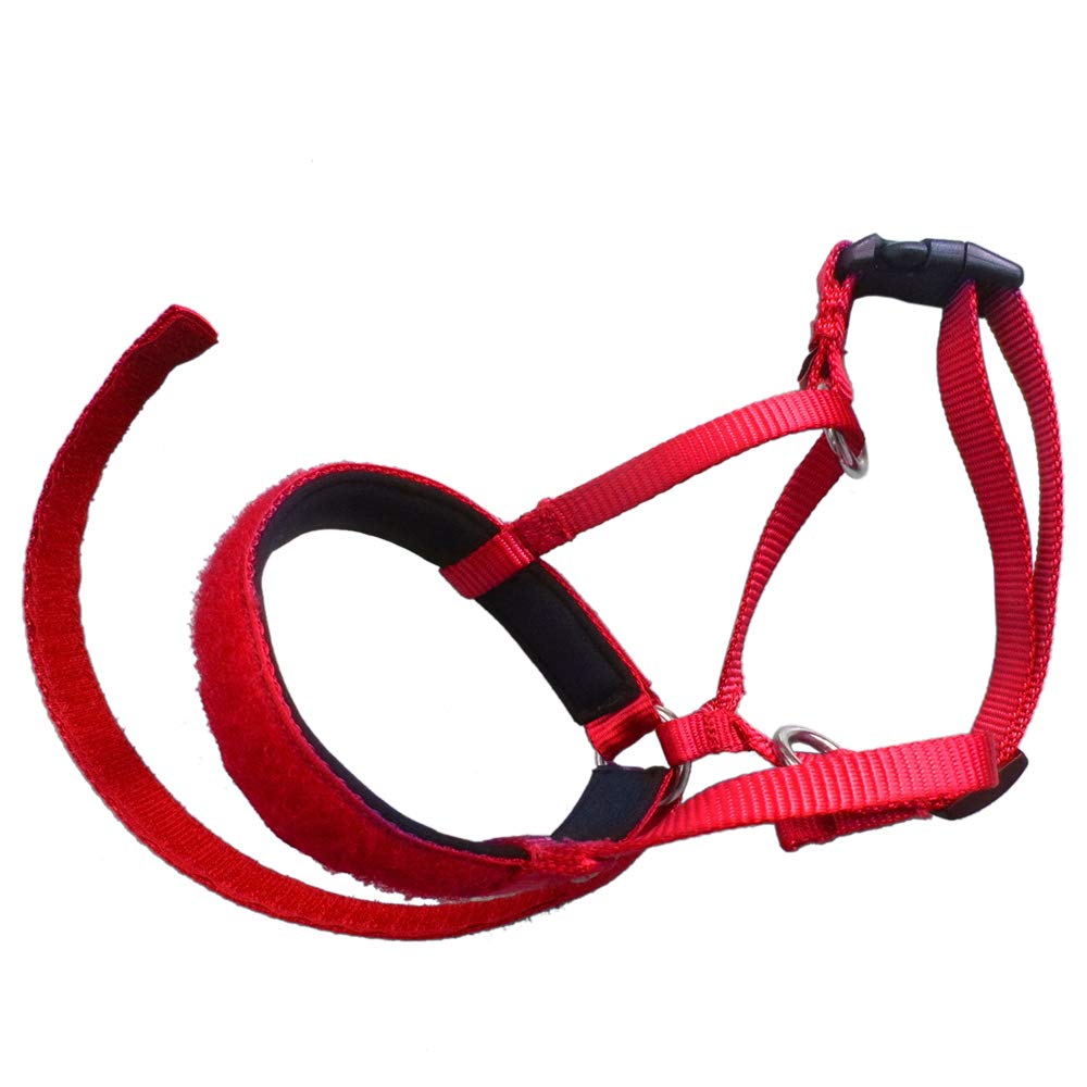 Headcollars Pet Supplies Control Training Collars GOGO Head Collar No