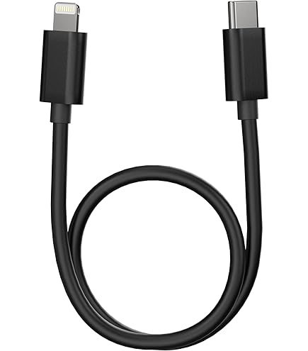 Amazon.com: SHANLING L3 USB-C to L OTG DAC Adapter Cable, for