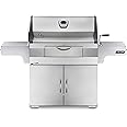 Napoleon PRO605CSS Professional Charcoal Grill, Stainless Steel
