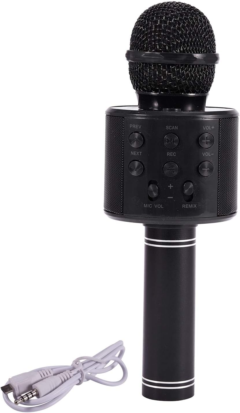 mic to speaker online