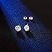 925Silver needle Studs Earrings Brilliant Cut Simulated Diamond Cubic Zirconia Rose flower Stud Earrings for Sensitive Ears priercing，2020