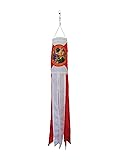 In the Breeze Florida 18 Inch Windsock - Florida
